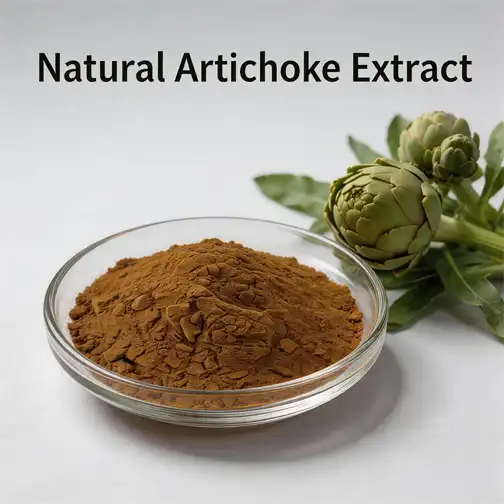 Natural Artichoke Extract for Bloating Relief: Does It Work?